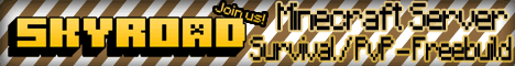 Deutscher Skyroad Minecraft Server 2026